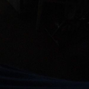 Meet your Posher, Wanda